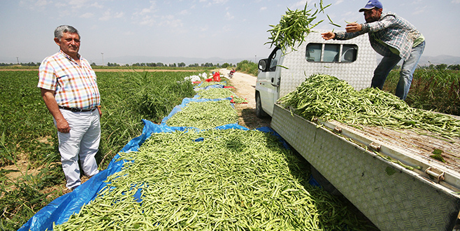 Yenişehirli çiftçide umutlu bekleyiş