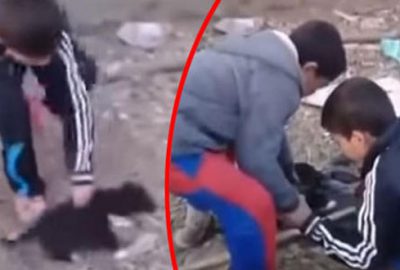 Polisten ‘patileri kesilen köpekle’ provokasyon uyarısı