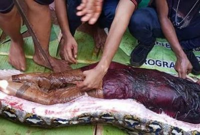 İçinden kadın çıktı! Kimse inanamadı…