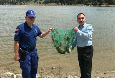 Amatör balıkçılar mercek altında