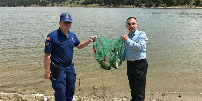 Amatör balıkçılar mercek altında