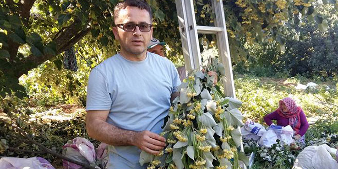 Dolu ve yağmur zararı büyük