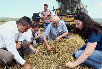 Yenişehir’de buğday hasadı başladı