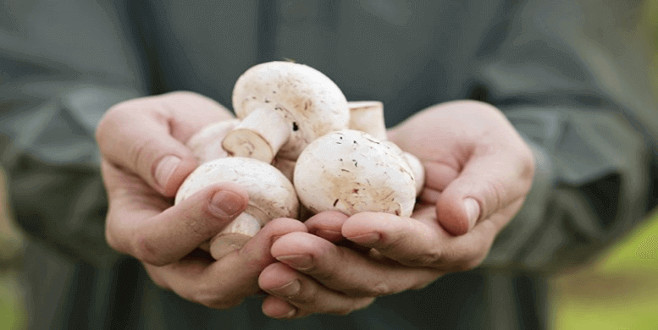 Sağlık Bakanlığı: Sakın yemeyin!