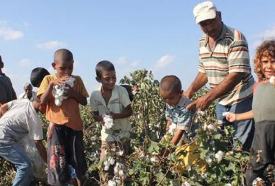 Çocuk işçi sayısı artıyor