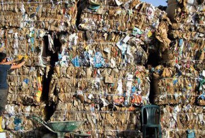 Geri dönüşümle 30 milyon ağaç kurtarıldı