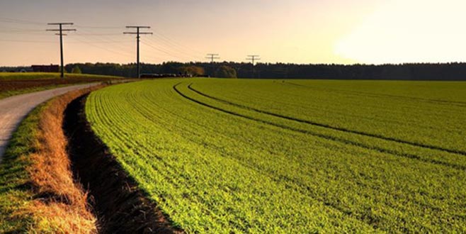 Hazineye ait tarım arazilerinin kiralanmasına ilişkin yeni düzenleme