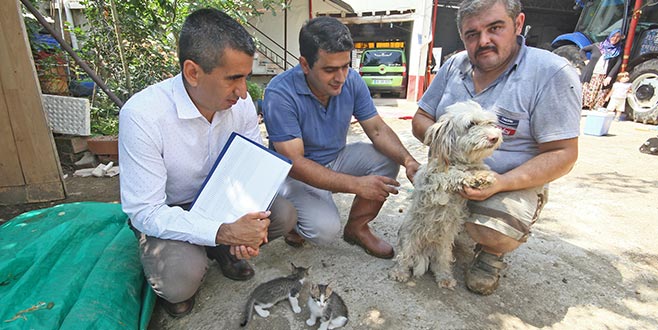 Hayvan aşılatmada bilinç artıyor