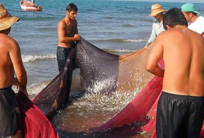 İznik Gölü’nde balıkçı beklentiyi karşılayamadı