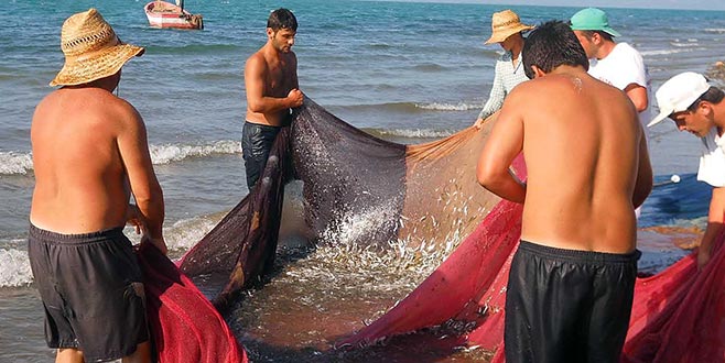 İznik Gölü’nde balıkçı beklentiyi karşılayamadı İznik Gölü’nde balıkçı beklentiyi karşılayamadı