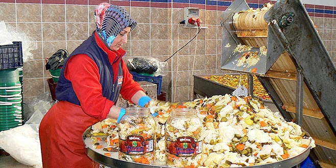 Gedelek’te turşu sezonu başladı Gedelek’te turşu sezonu başladı