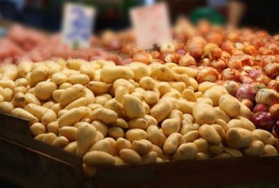 Patates fiyatlarına çözüm! Kilosu 1.95 liraya düşüyor…