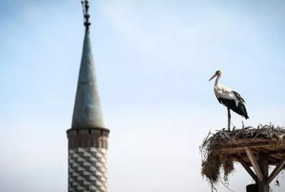 Bursa’da ‘Uluslararası Leylek Festivali’ coşkusu başlıyor