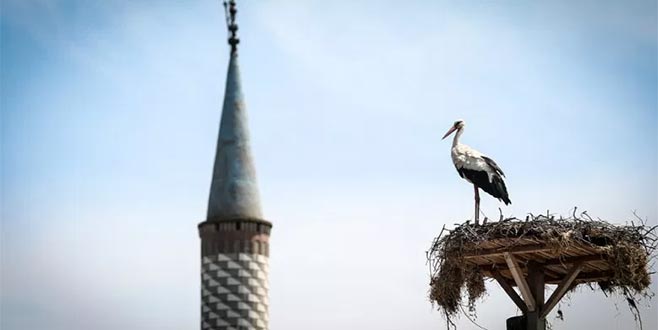 Bursa’da ‘Uluslararası Leylek Festivali’ coşkusu başlıyor