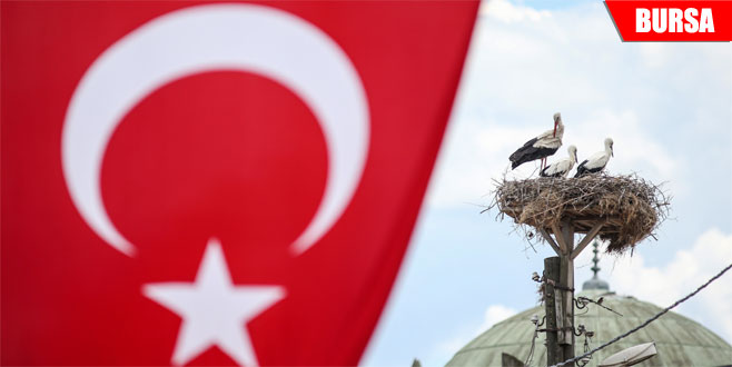 ‘Uluslararası Leylek Festivali’ başladı