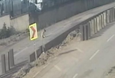 Vicdansız sürücü köpeği ezdi, ardına bakmadan kaçtı