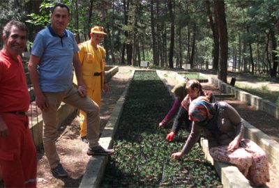 Ormancılar işbaşı yaptı