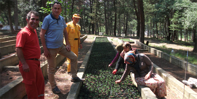 Ormancılar işbaşı yaptı