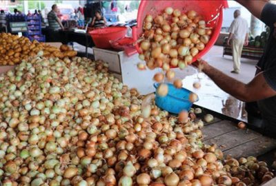 Patates ve soğan fiyatlarında keskin düşüş