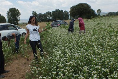 Üretimi yaygınlaşıyor! Bursa da projeye dahil edildi