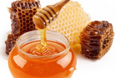 Bu yıl bal bol olacak