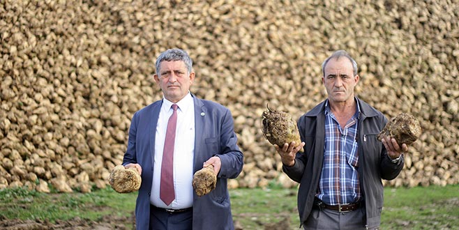 İlk pancar avansı ödendi