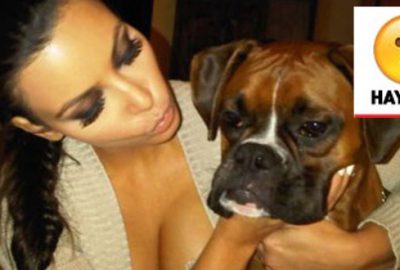 Şimdi de köpeğine silikon taktırdı!