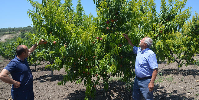 Kooperatifleşmeyi hızlandırmamız gerekli