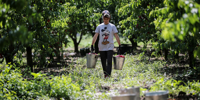 Bursa için güzel gelişme! Haziranda ‘zirve’ yaptı