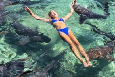 Ünlü model fotoğraf uğruna köpek balıklarına yem oldu!