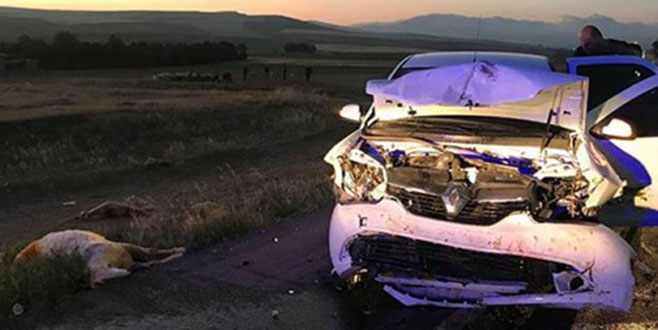 Koyun sürüsüne otomobil çarptı