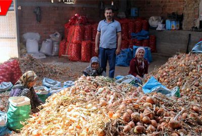 Soğanda parayı aracılar kazanıyor