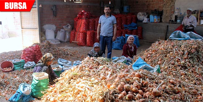 Soğanda parayı aracılar kazanıyor