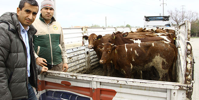 13 genç çiftçinin projesi kabul edildi 13 genç çiftçinin projesi kabul edildi