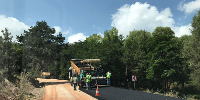 Ericek-Dışkaya yoluna asfalt