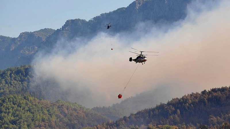 Antalya'nın Aksu ilçesinde ormanlık alanda yangın çıktı. Yangına müdahale etmek