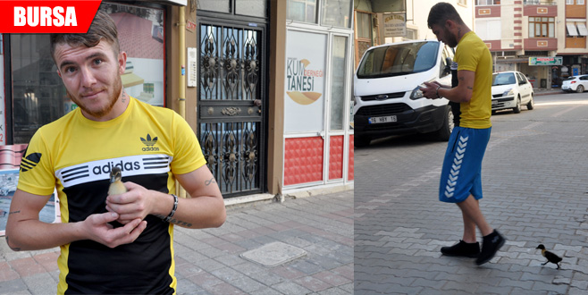 Minik ördeğin gülümseten dostluğu