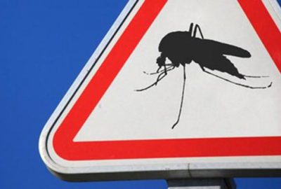 Fransız başkan, sivrisineklerin semte girişini yasakladı