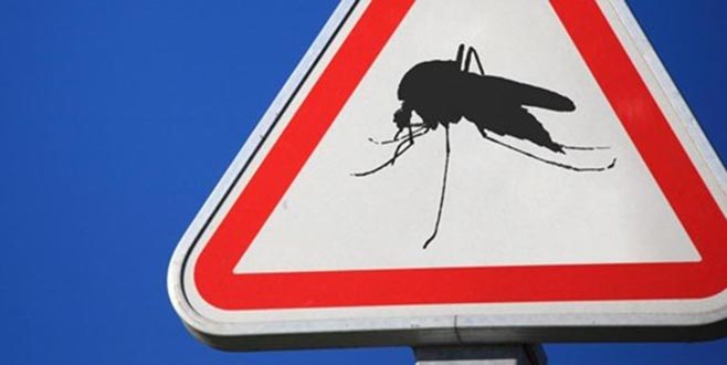 Fransız başkan, sivrisineklerin semte girişini yasakladı