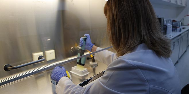 Arı sütünün raf ömrünü uzattılar