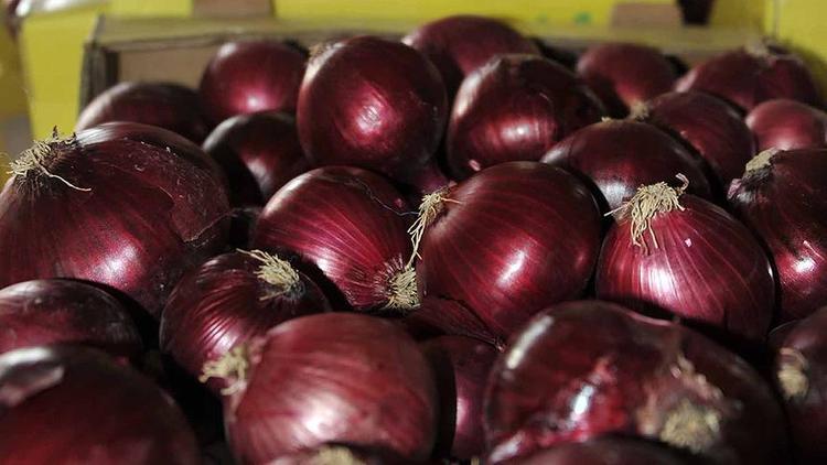 Mor soğana coğrafi işaret