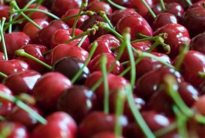 Çinliler Türk kirazı yiyecek