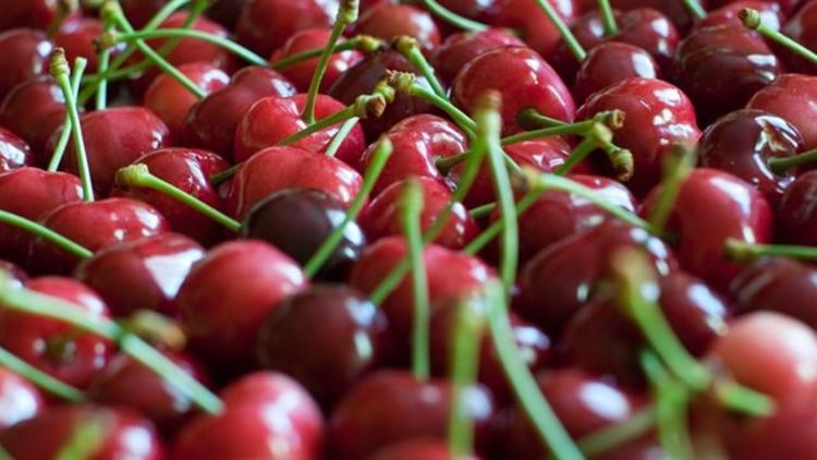 Çinliler Türk kirazı yiyecek Çinliler Türk kirazı yiyecek