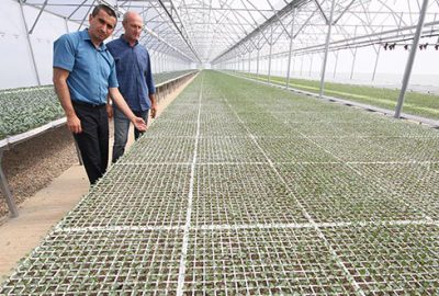 Çiftçiye serada fide üretimi çağrısı