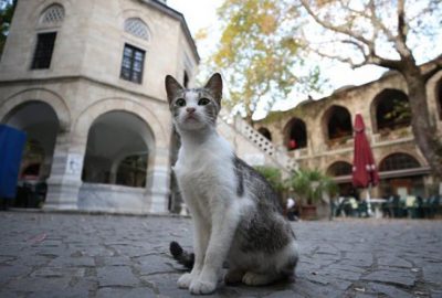 Kraliçe Elizabeth’in ziyaret ettiği ‘ticaretin kalbi’ dünyayı ağırlıyor