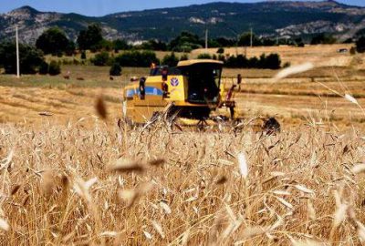 Dünya alarmda! Sadece 26 gün yetecek stok kaldı
