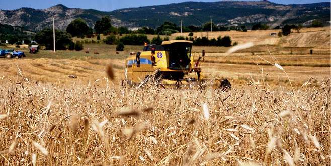 Dünya alarmda! Sadece 26 gün yetecek stok kaldı Dünya alarmda! Sadece 26 gün yetecek stok kaldı