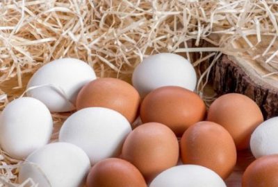 Yumurta üreticiyi de tüketiciyi de üzüyor