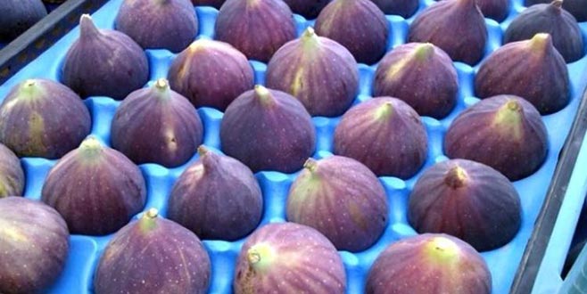 ‘Bursa siyahı’nda hedef pazar Çin ‘Bursa siyahı’nda hedef pazar Çin