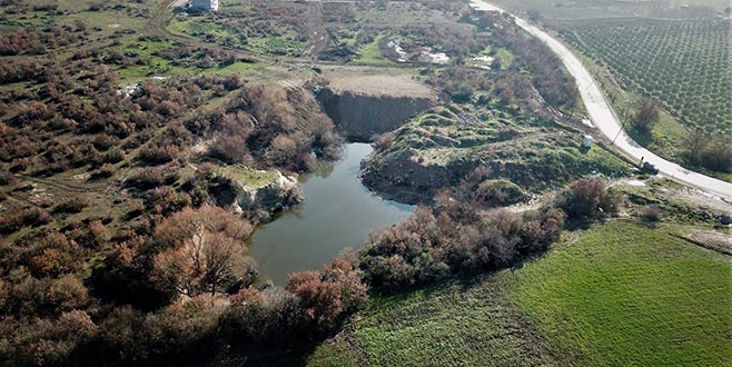 Kurutulan bataklığa meyve fidanı dikildi